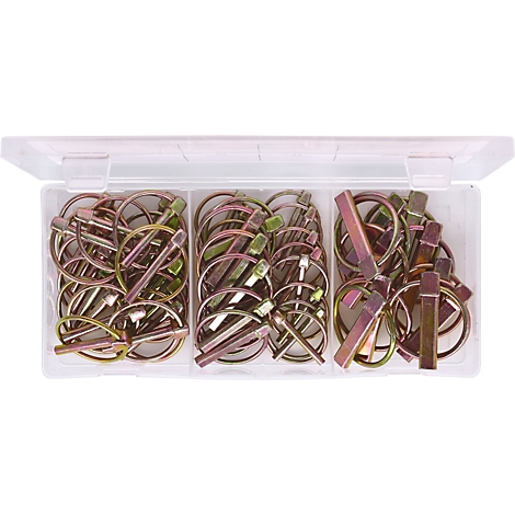 Box mit einer Vielzahl von gold- und silberfarbenen Splinten in verschiedenen Formen, unterteilt in drei Fächer.